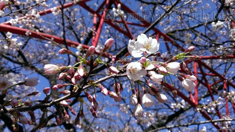 IMAG0739.jpg